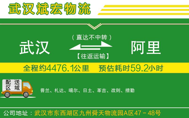 武漢到阿里物流公司