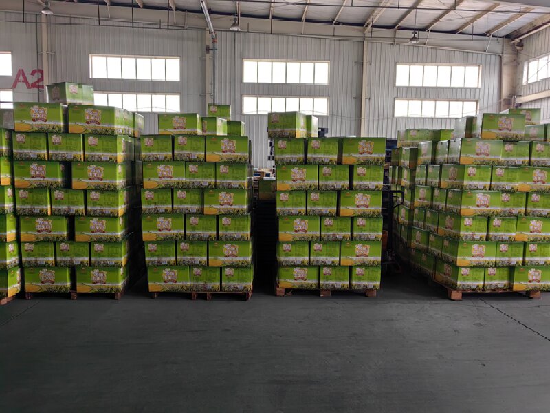 長(zhǎng)沙到衢州物流專線