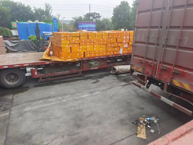 武漢到拉薩貨運(yùn)公司