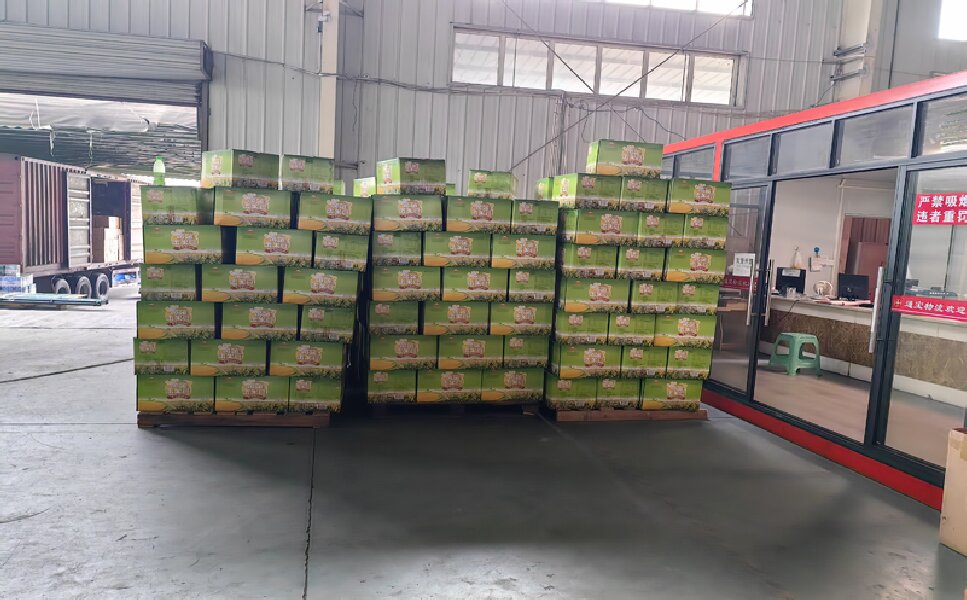 武漢到?jīng)荜?yáng)物流專線